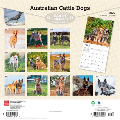 2027 BrownTrout Australian Cattle Dogs 12 x 12 Monthly Wall Calendar (9798330712182)