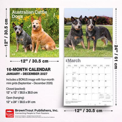 2027 BrownTrout Australian Cattle Dogs 12" x 12" Monthly Wall Calendar (9798330712182)