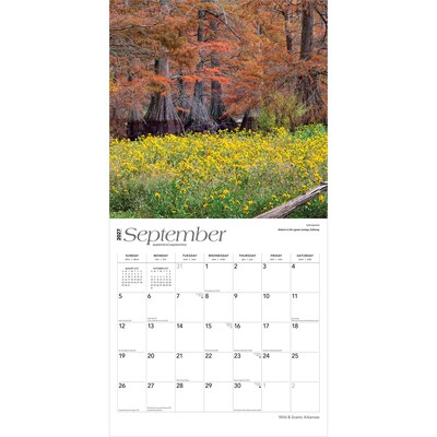 2027 BrownTrout Arkansas Wild & Scenic 12" x 12" Monthly Wall Calendar (9798330714070)