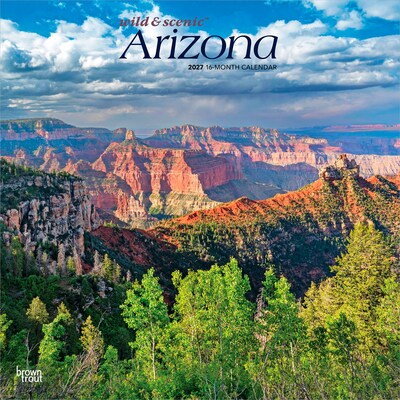 2027 BrownTrout Arizona Wild & Scenic 12 x 12 Monthly Wall Calendar (9798330710386)