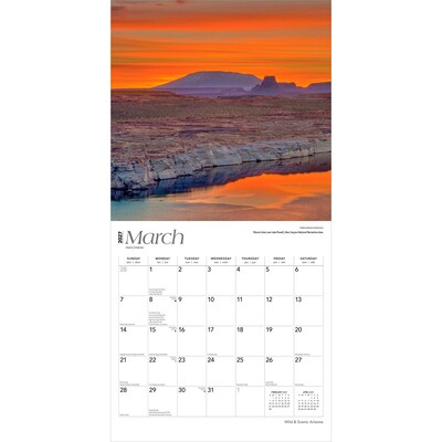 2027 BrownTrout Arizona Wild & Scenic 12" x 12" Monthly Wall Calendar (9798330710386)