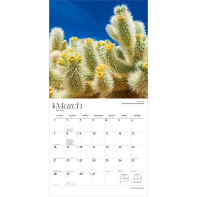 2027 BrownTrout California Nature 12" x 12" Monthly Wall Calendar (9798330710447)