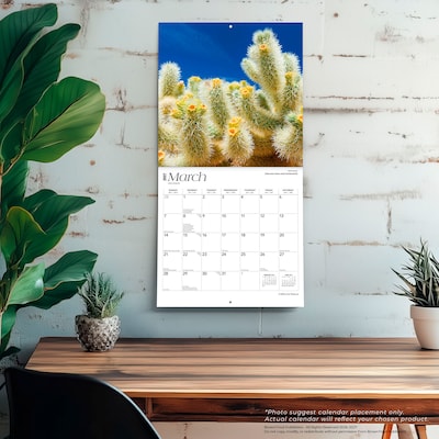 2027 BrownTrout California Nature 12" x 12" Monthly Wall Calendar (9798330710447)