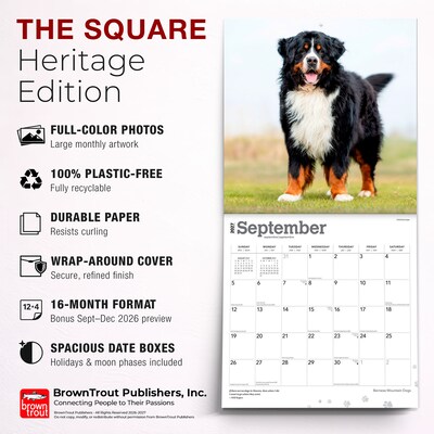 2027 BrownTrout Bernese Mountain Dogs 12" x 12" Monthly Wall Calendar (9798330712236)