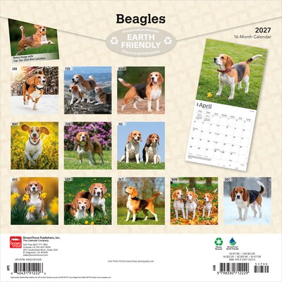 2027 BrownTrout Beagles 12 x 12 Monthly Wall Calendar (9798330712229)