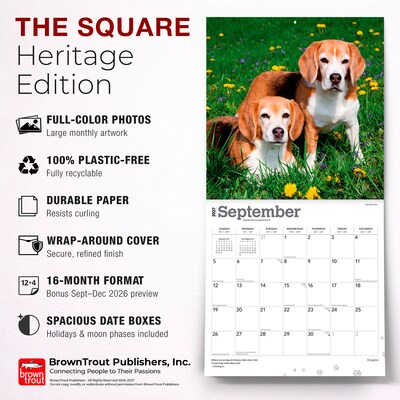 2027 BrownTrout Beagles 12" x 12" Monthly Wall Calendar (9798330712229)