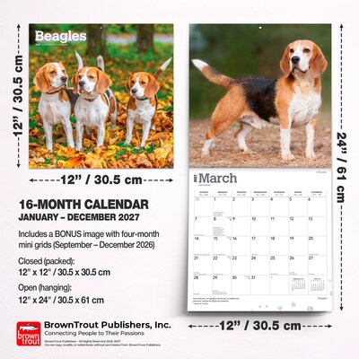 2027 BrownTrout Beagles 12" x 12" Monthly Wall Calendar (9798330712229)