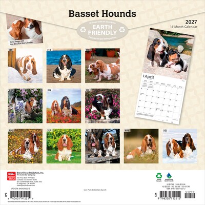 2027 BrownTrout Basset Hounds 12 x 12 Monthly Wall Calendar (9798330712212)