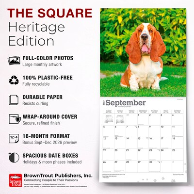 2027 BrownTrout Basset Hounds 12" x 12" Monthly Wall Calendar (9798330712212)