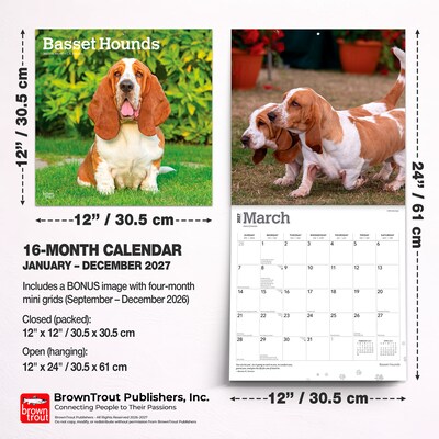 2027 BrownTrout Basset Hounds 12" x 12" Monthly Wall Calendar (9798330712212)