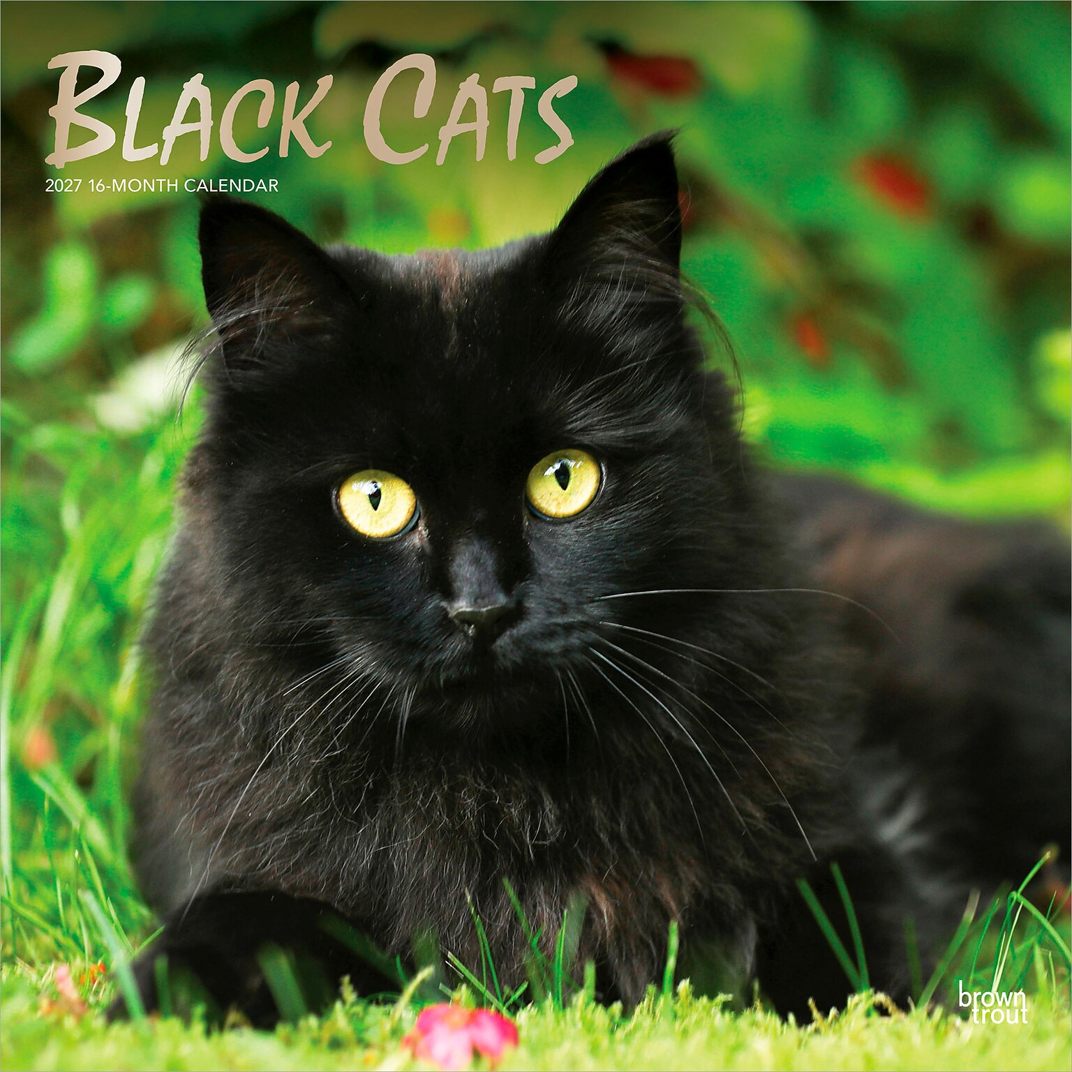 2027 BrownTrout Black Cats 12 x 12 Monthly Wall Calendar (9798330711765)