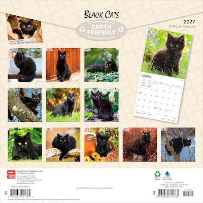 2027 BrownTrout Black Cats 12 x 12 Monthly Wall Calendar (9798330711765)