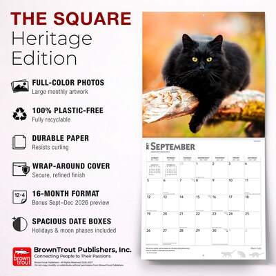 2027 BrownTrout Black Cats 12" x 12" Monthly Wall Calendar (9798330711765)