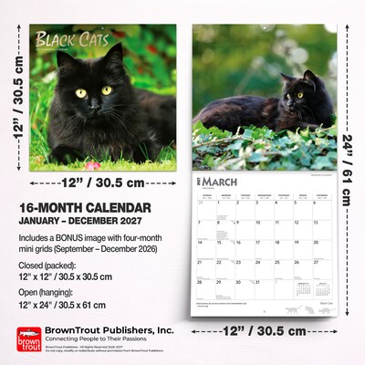 2027 BrownTrout Black Cats 12" x 12" Monthly Wall Calendar (9798330711765)