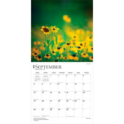 2027 BrownTrout Blessings 12" x 12" Monthly Wall Calendar (9798330711475)