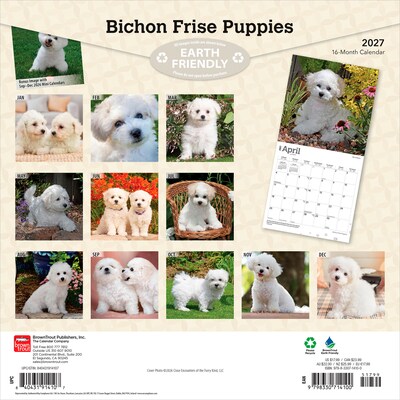 2027 BrownTrout Bichon Frise Puppies 12 x 12 Monthly Wall Calendar (9798330714100)
