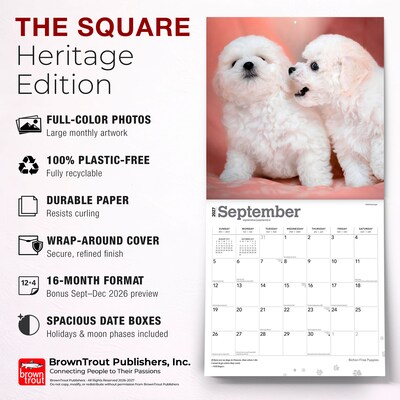 2027 BrownTrout Bichon Frise Puppies 12" x 12" Monthly Wall Calendar (9798330714100)