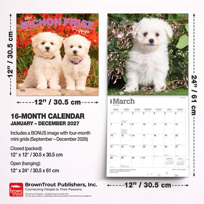 2027 BrownTrout Bichon Frise Puppies 12" x 12" Monthly Wall Calendar (9798330714100)