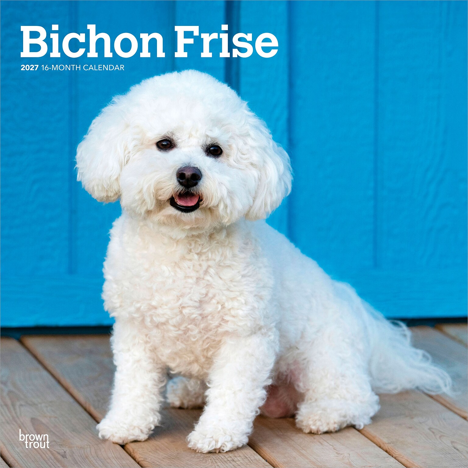 2027 BrownTrout Bichon Frise 12 x 12 Monthly Wall Calendar (9798330712243)