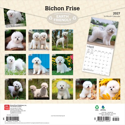2027 BrownTrout Bichon Frise 12 x 12 Monthly Wall Calendar (9798330712243)