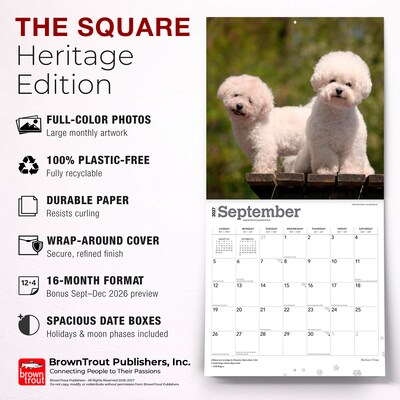 2027 BrownTrout Bichon Frise 12" x 12" Monthly Wall Calendar (9798330712243)