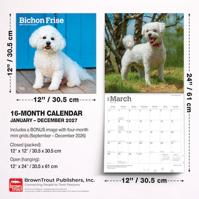 2027 BrownTrout Bichon Frise 12" x 12" Monthly Wall Calendar (9798330712243)