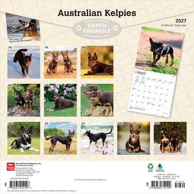 2027 BrownTrout Australian Kelpies 12 x 12 Monthly Wall Calendar (9798330712199)