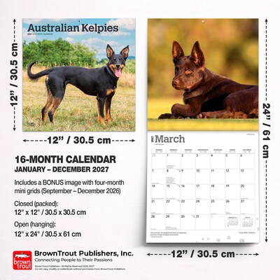 2027 BrownTrout Australian Kelpies 12" x 12" Monthly Wall Calendar (9798330712199)