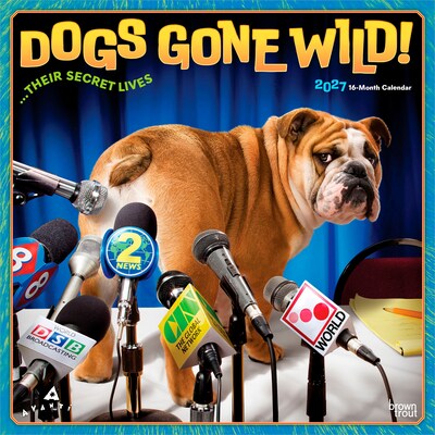 2027 BrownTrout Avanti Dogs Gone Wild 12 x 12 Monthly Wall Calendar (9798330712960)