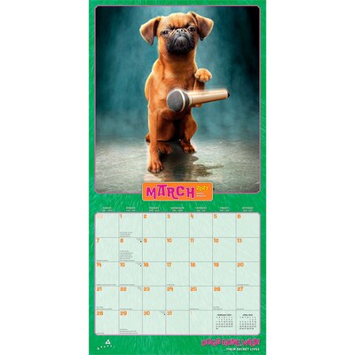 2027 BrownTrout Avanti Dogs Gone Wild 12" x 12" Monthly Wall Calendar (9798330712960)