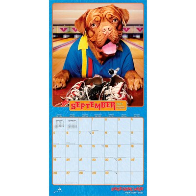 2027 BrownTrout Avanti Dogs Gone Wild 12" x 12" Monthly Wall Calendar (9798330712960)