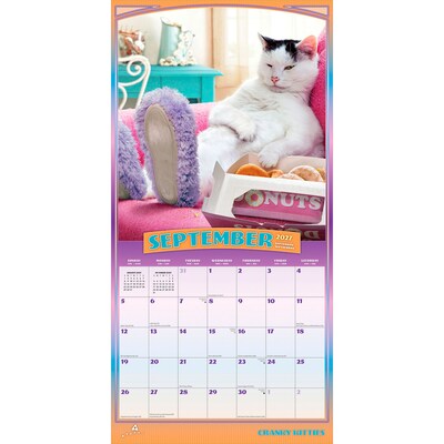2027 BrownTrout Avanti Cranky Kitties 12" x 12" Monthly Wall Calendar (9798330712939)