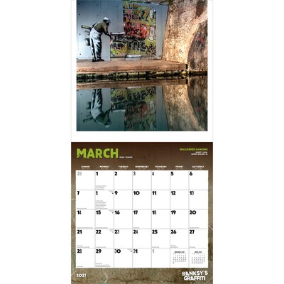 2027 BrownTrout Banksy's Graffiti 12" x 12" Monthly Wall Calendar (9798330713011)
