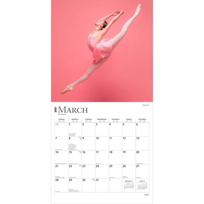 2027 BrownTrout Ballet 12" x 12" Monthly Wall Calendar (9798330711116)