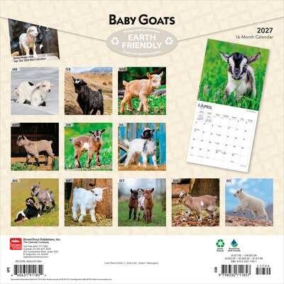 2027 BrownTrout Baby Goats 12 x 12 Monthly Wall Calendar (9798330711857)