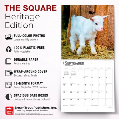 2027 BrownTrout Baby Goats 12" x 12" Monthly Wall Calendar (9798330711857)