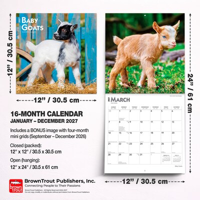 2027 BrownTrout Baby Goats 12" x 12" Monthly Wall Calendar (9798330711857)
