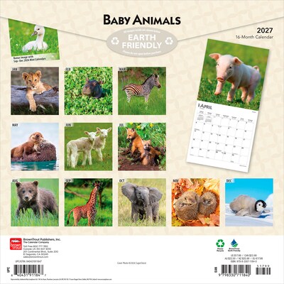 2027 BrownTrout Baby Animals 12 x 12 Monthly Wall Calendar (9798330711840)