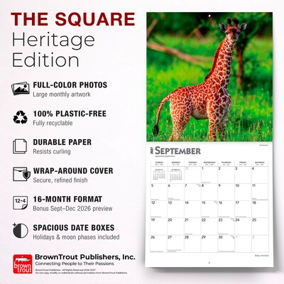 2027 BrownTrout Baby Animals 12" x 12" Monthly Wall Calendar (9798330711840)