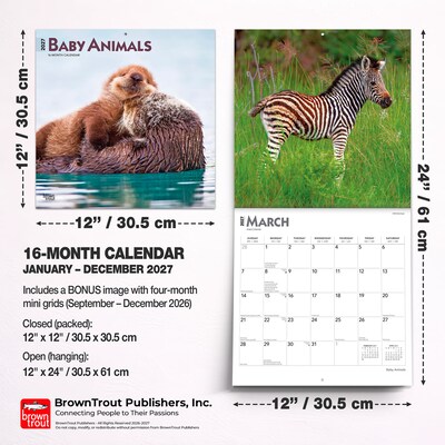 2027 BrownTrout Baby Animals 12" x 12" Monthly Wall Calendar (9798330711840)