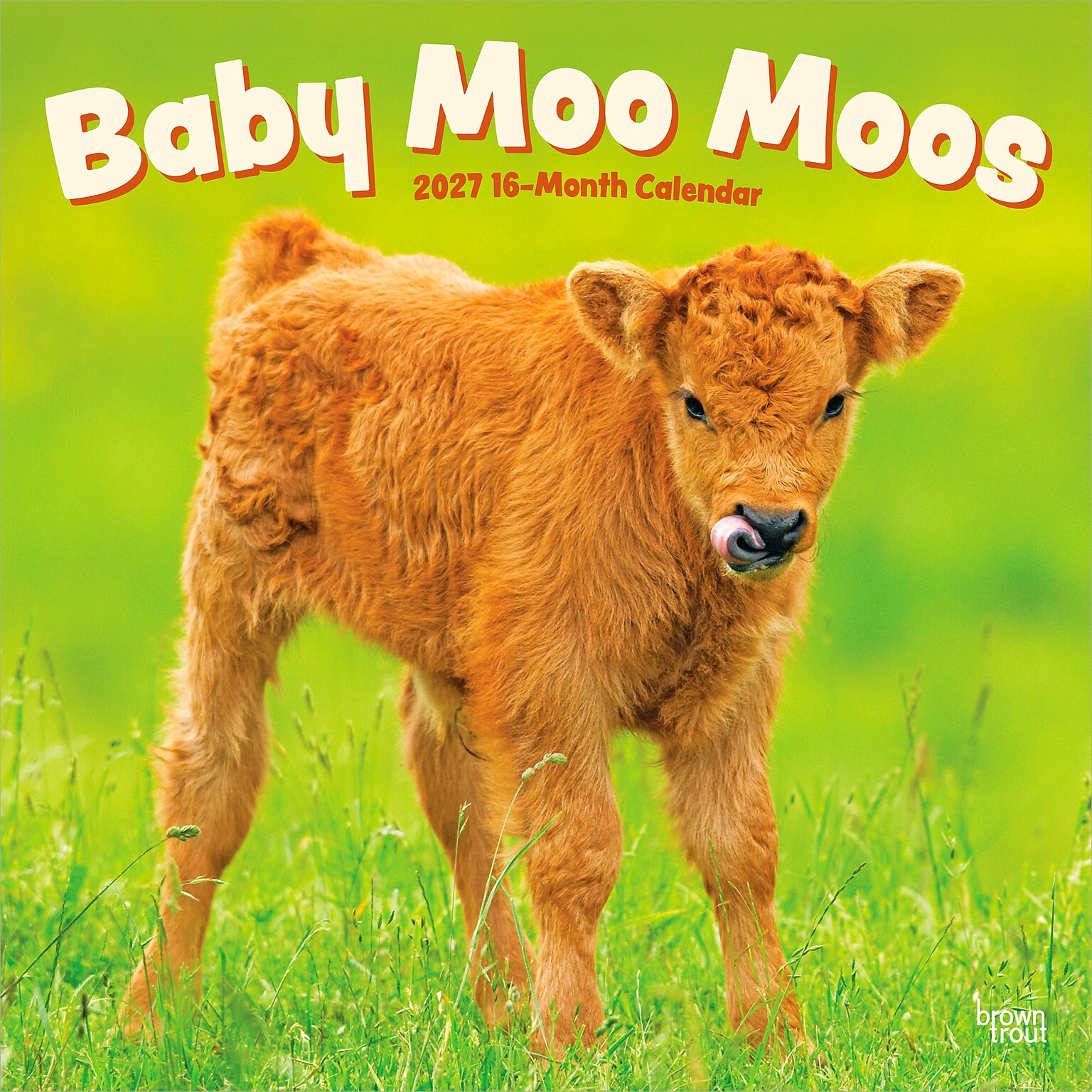 2027 BrownTrout Baby Moo Moos 12 x 12 Monthly Wall Calendar (9798330711864)