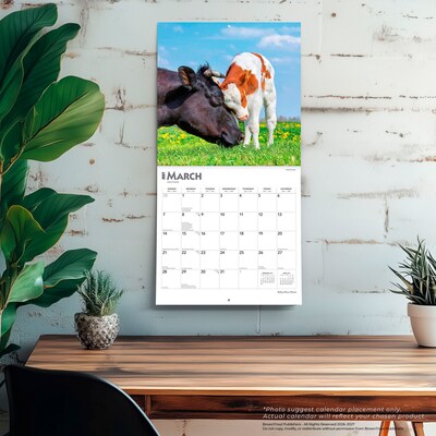 2027 BrownTrout Baby Moo Moos 12" x 12" Monthly Wall Calendar (9798330711864)