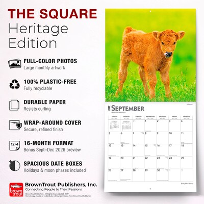 2027 BrownTrout Baby Moo Moos 12" x 12" Monthly Wall Calendar (9798330711864)