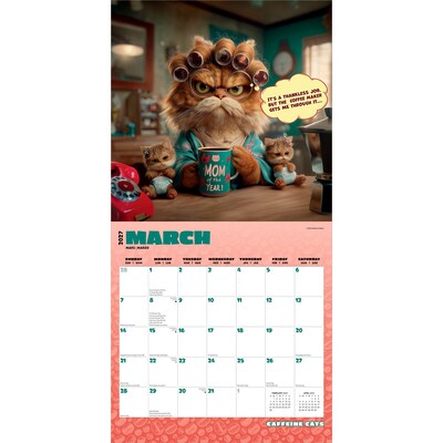 2027 BrownTrout Caffeine Cats 12" x 12" Monthly Wall Calendar (9798330714711)