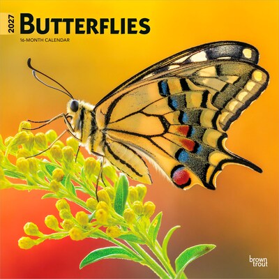 2027 BrownTrout Butterflies 12 x 12 Monthly Wall Calendar (9798330712021)