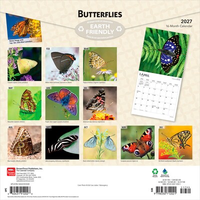 2027 BrownTrout Butterflies 12 x 12 Monthly Wall Calendar (9798330712021)