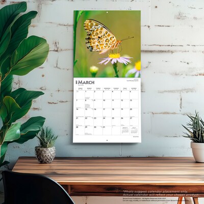 2027 BrownTrout Butterflies 12" x 12" Monthly Wall Calendar (9798330712021)