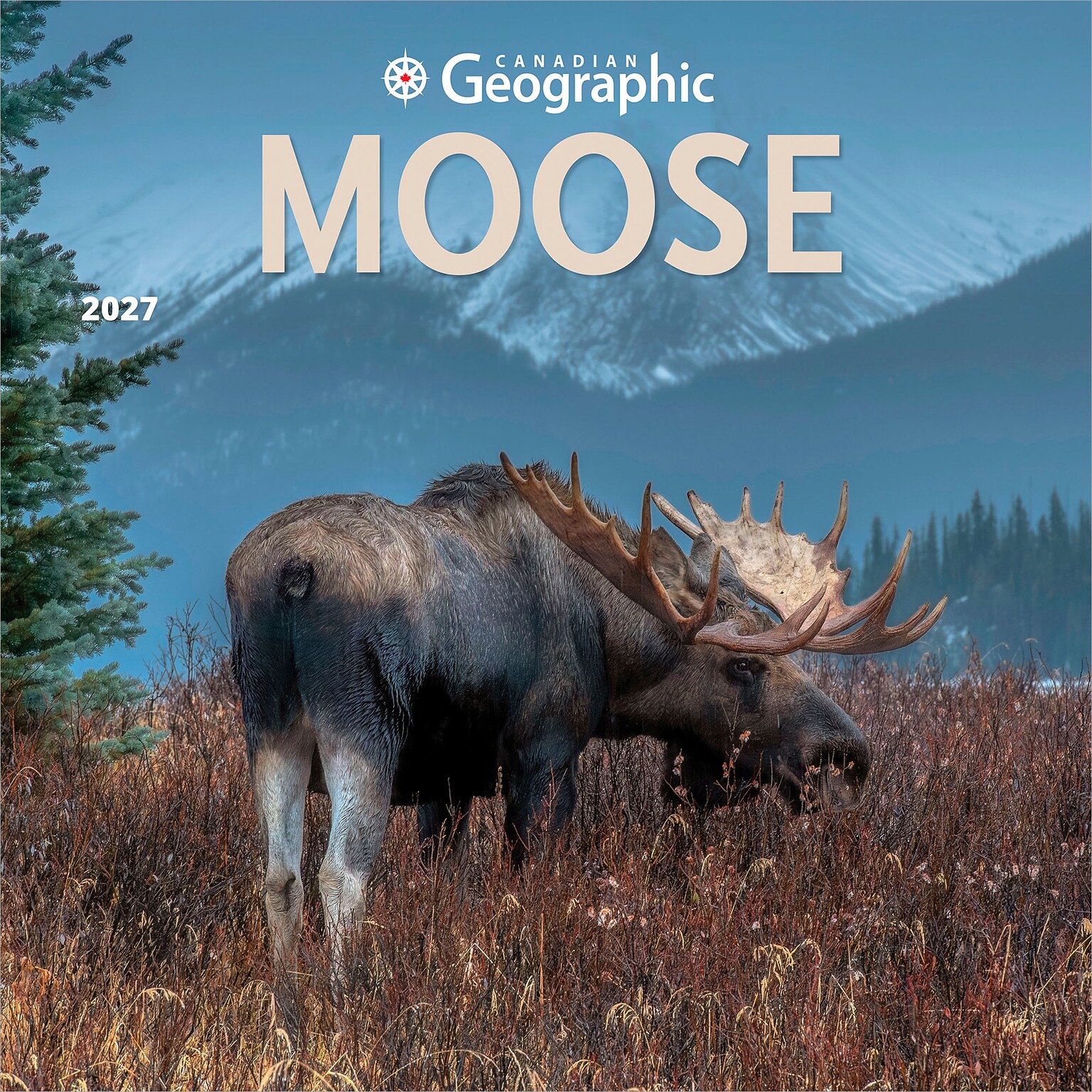 2027 BrownTrout Canadian Geographic Moose 12 x 12 Monthly Wall Calendar (9781525617560)