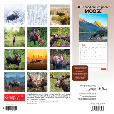 2027 BrownTrout Canadian Geographic Moose 12 x 12 Monthly Wall Calendar (9781525617560)