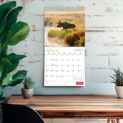 2027 BrownTrout Canadian Geographic Moose 12" x 12" Monthly Wall Calendar (9781525617560)